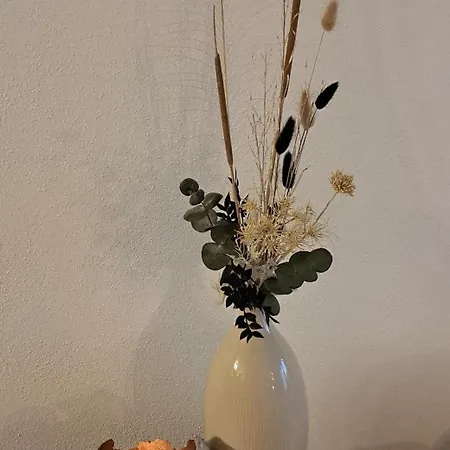 Inn-blick * פסאו